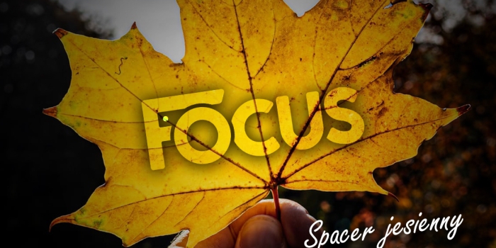 FOCUSPACER